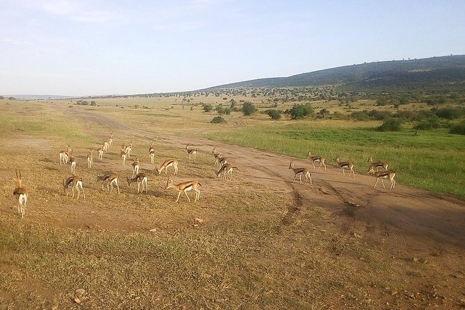 3 Days Maasai Mara Luxury Camping - Practical tips so your days feel smooth (and not exhausting)