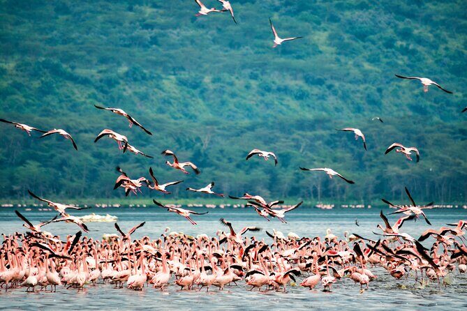 3 days maasai mara migration safari - Nairobi to the reserve: Rift Valley viewpoint and an easy first day plan