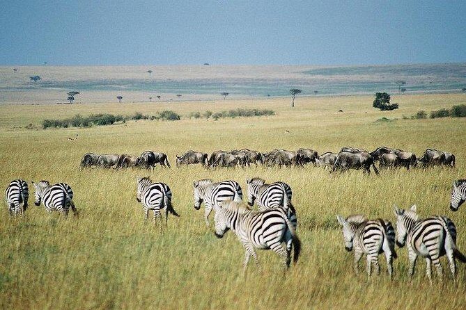 3 days Maasai Mara private Lodge safari at Keekorok from Nairobi - Price and value: what you’re really paying for