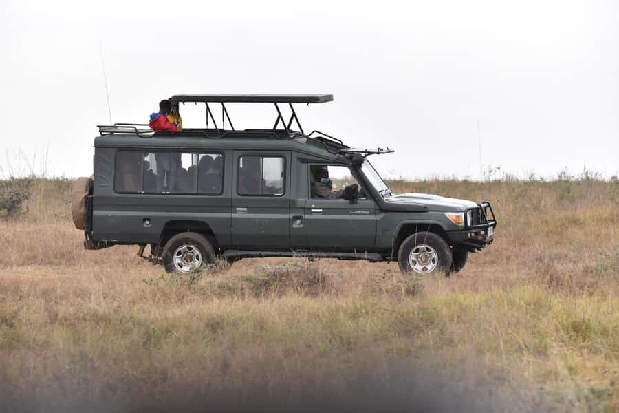 3 Days Maasai Mara Small Group Safari- Jambo Mara Lodge - Key safari moments that make this one work