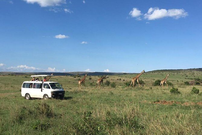 3 days Masai Mara - 3 Days in Masai Mara: What You’re Really Buying