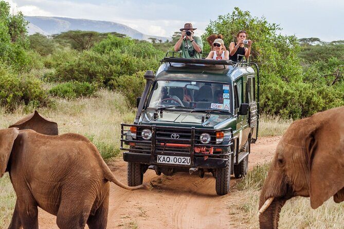 3 Days Masai Mara Budget safari Meals and accommodation included - Open-roof seven-seater game drives: the practical benefits