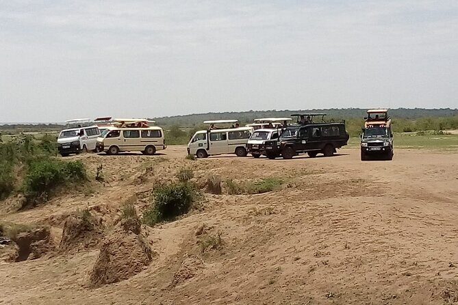 3 Days Masai Mara Budget safari Meals and accommodation included - Day 3: optional Maasai village add-on and your Nairobi drop-off
