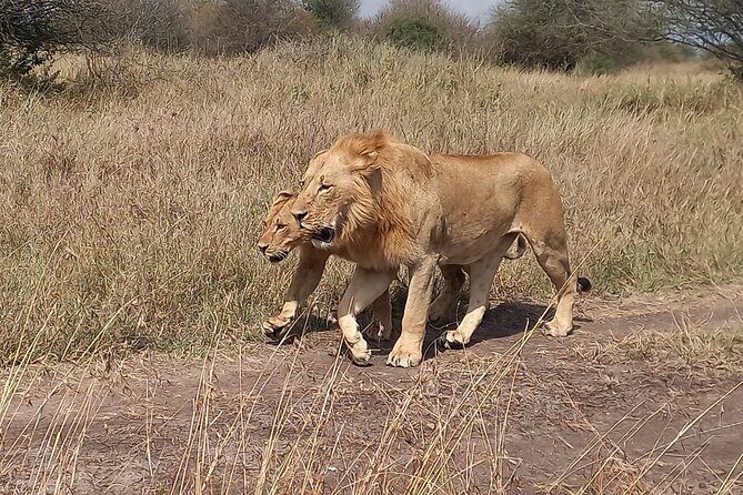 3 Days Masai Mara Experience - Key highlights at a glance