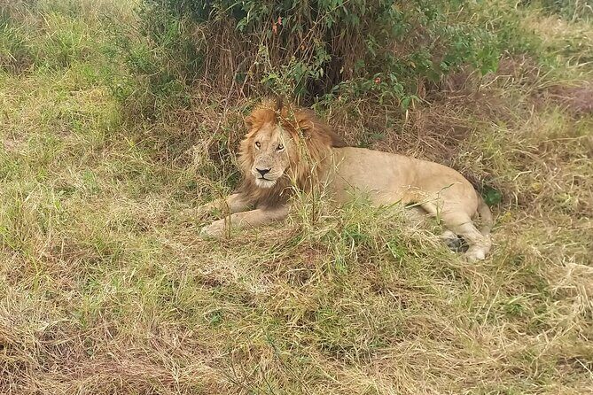 3 Days Masai Mara Experience - The price ($440): what you’re really paying for