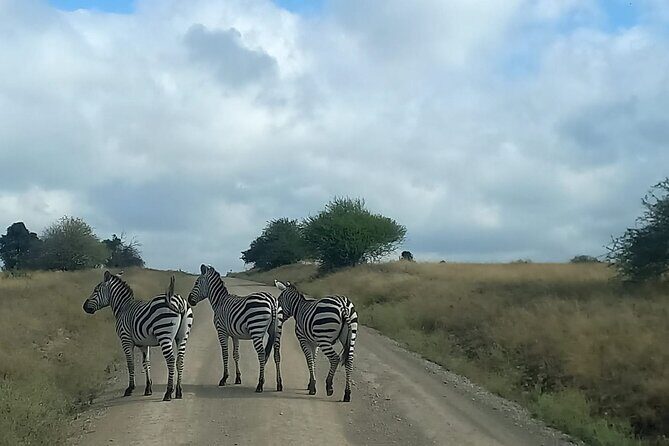 3 Days Masai Mara Experience - Should you book this 3-day Masai Mara experience?
