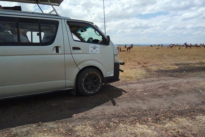 3 Days Masai Mara Joining Safari (lenchada) - What You Actually Get for $578