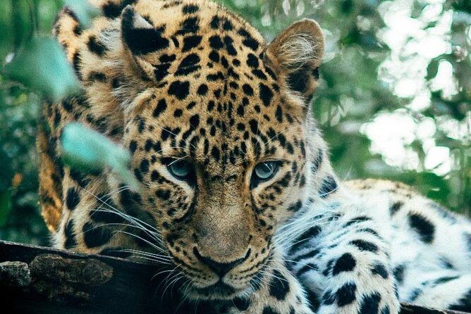 3 Days Masai Mara Joining Tour - Practical tips before you go