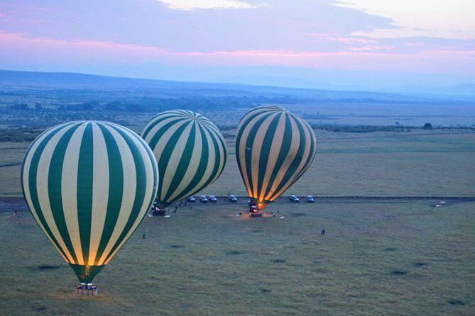 3 Days Masai Mara National Reserve Safari - Day 1 Game Drive: Settling In at Lunch and Sunset