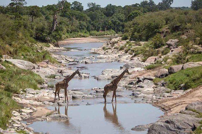 3 Days Masai Mara Private Safari at Sopa Lodge from Nairobi - Arrival in Maasai Mara: your first real taste starts around sunset