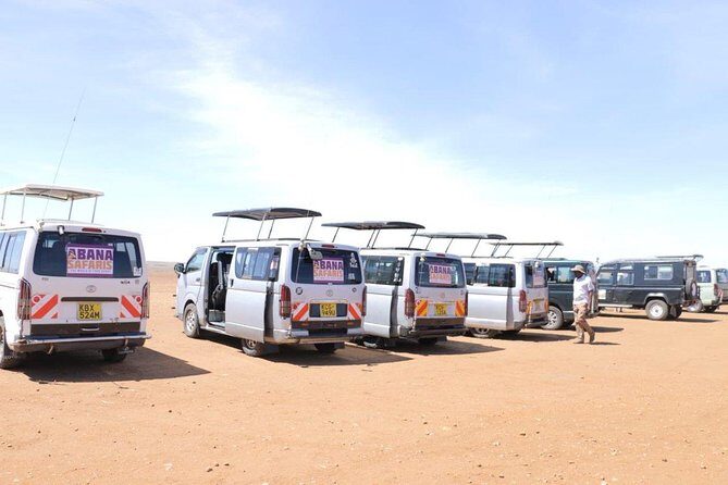 3 Days Masai Mara Safari - Day 2: Masai Mara game drives, Big Five hunting odds, and Maasai Manyatta time