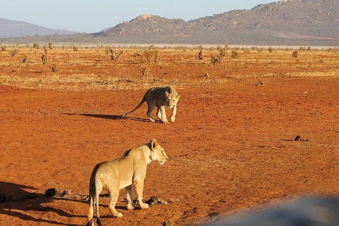 3 days Red elephant safari - Quick hits before you go