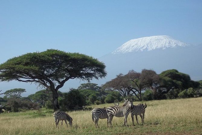 3 days Red elephant safari - Where this safari fits on the Kenya map