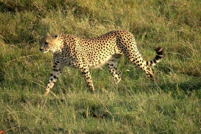 3 days Red elephant safari - Your guide and the difference it makes