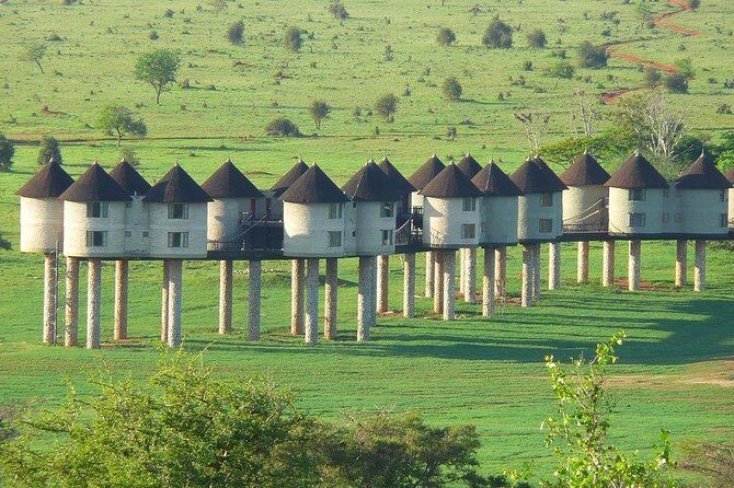 3 Days Safari Tsavo East and Taita Hills Saltlick Lodge - Key highlights to know before you go