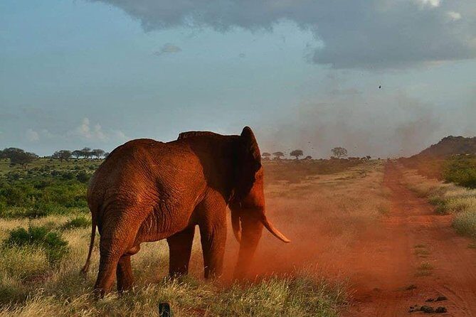 3 Days Safari Tsavo East and Taita Hills Saltlick Lodge - Price and value: is $800 fair for this 3-day route?