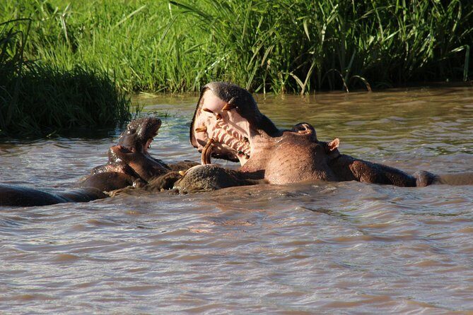 3 days safari Tsavo East and West - What to Bring and How to Survive the Schedule Comfortably