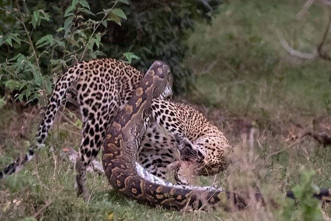 3 Days to Maasai Mara N/R. - Key things that make this Maasai Mara safari work