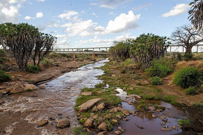 3 Days Tsavo East & Amboseli (2 Nights) - Day 3: early breakfast, drive out, lunch stop, then Mombasa by late afternoon