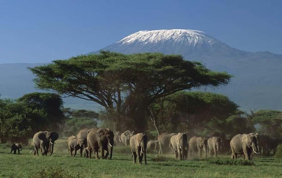 3 days Tsavo East and Amboseli safari from Diani/Mombasa - Tsavo East from Diani/Mombasa: Buchuma Gate and Aruba Dam