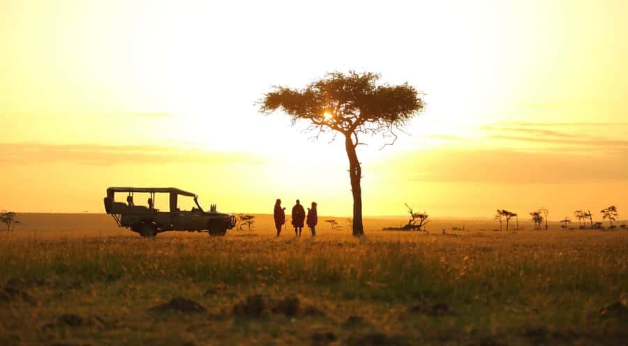 3 days Tsavo East and Saltlick safari from Diani/Mombasa - Saltlick Lodge: watching wildlife from a place made for it