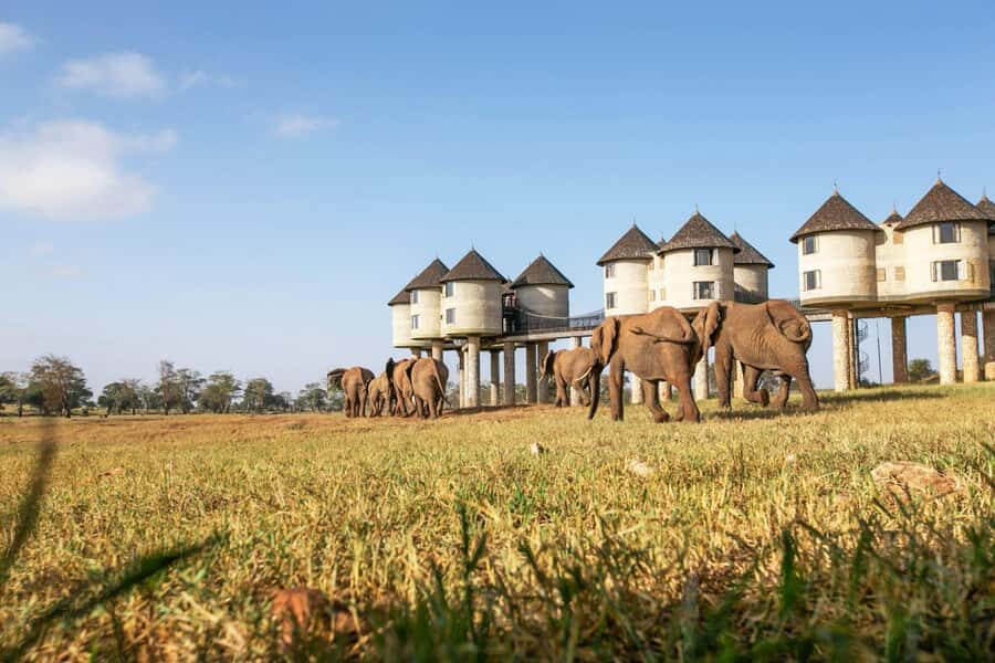 3 days Tsavo East and Saltlick safari from Diani/Mombasa - Pickup from Diani or Mombasa and the drive to Tsavo East