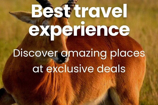 3 Days Unforgettable Masai Mara Safari Tour - Group size, WiFi, and the small comforts that matter