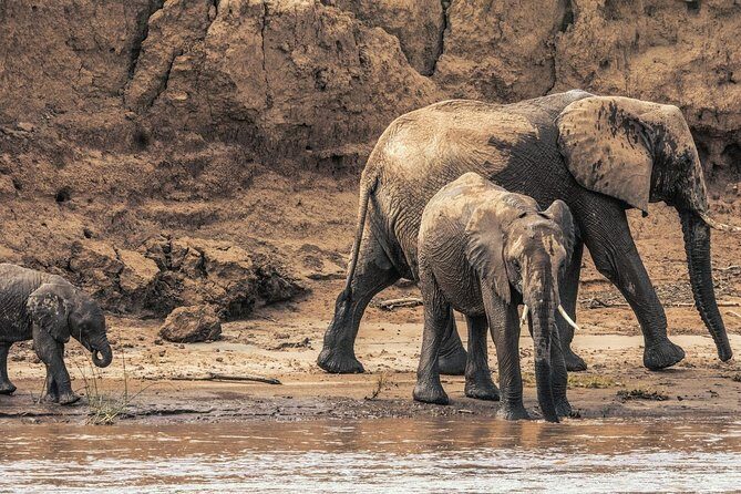 3 nights exclusive Masai Mara safari - Maasai Mara game drives: crossing points and “notorious” hotspots