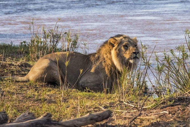 3 nights exclusive Masai Mara safari - Your comfort setup: small group, long drives, real expectations