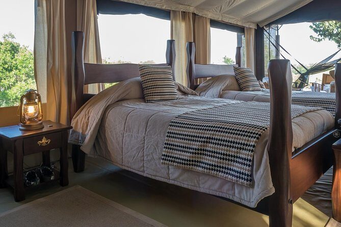 3 nights exclusive Masai Mara safari - What sightings look like when conditions click