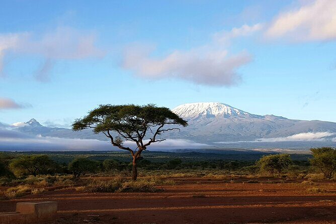 3day Amboseli Park Private safari - Mount Kilimanjaro views and elephant herds, right from Nairobi
