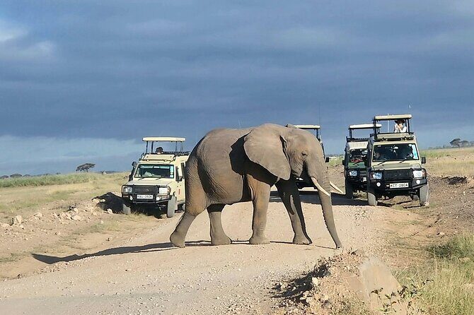 3day Amboseli Park Private safari - Day 2: Observation Hill and the full-day search for lions, buffalo, and more