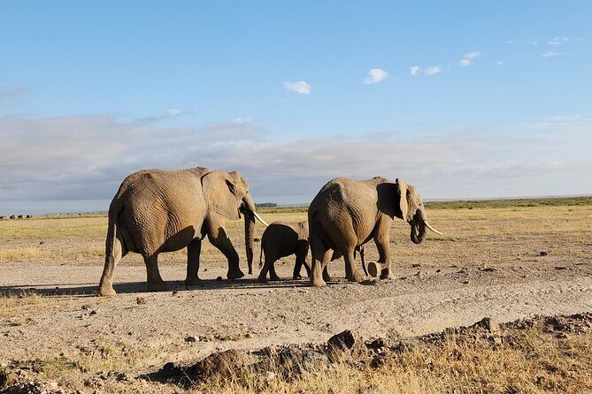 3day Amboseli Park Private safari - Price and value: what $999 buys you in real terms