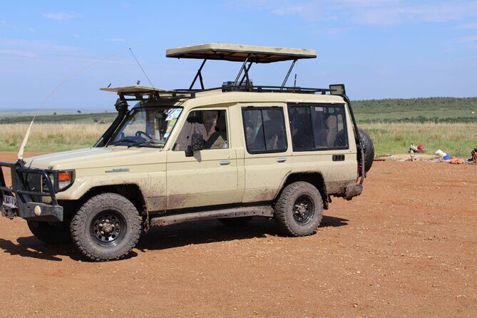 4 Day Group Tour to Maasai Mara and Lake Nakuru by a 4WD Cruiser - Day 2: a full Big Five day, picnic lunch, and Mara River hippos