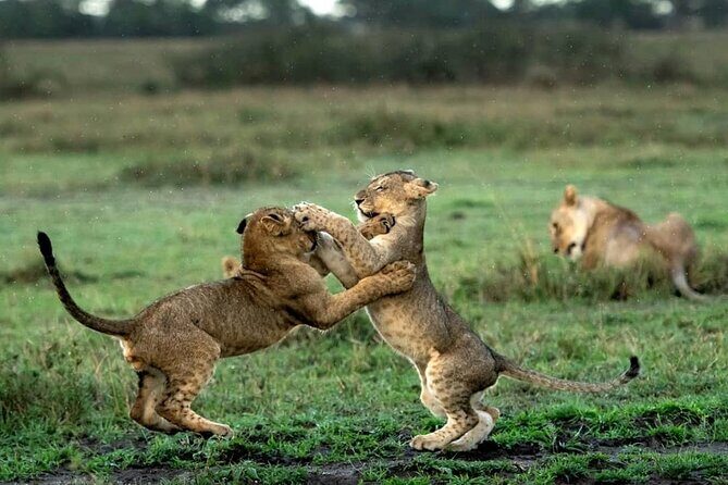 4 Day Group Tour to Maasai Mara and Lake Nakuru by a 4WD Cruiser - Day 3: driving toward Nakuru, with Naivasha and a cultural stop