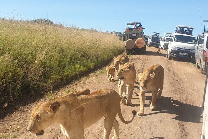 4 Day Group Tour to Maasai Mara and Lake Nakuru by a 4WD Cruiser - Day 4: Lake Nakuru rhinos, possible flamingos, and Makalia Waterfalls