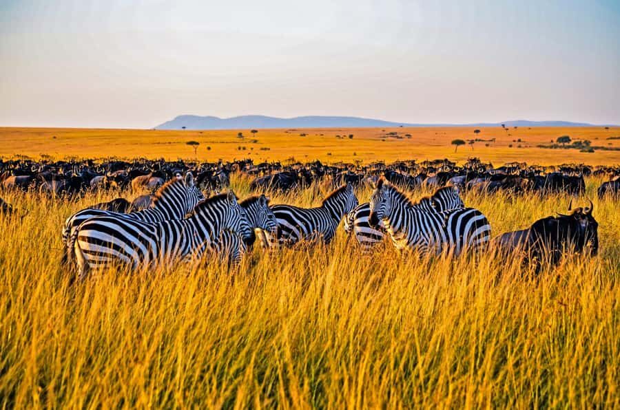 4-Day Masai Mara and Lake Nakuru Safari - Day 1: Nairobi to Masai Mara via the Great Rift Valley