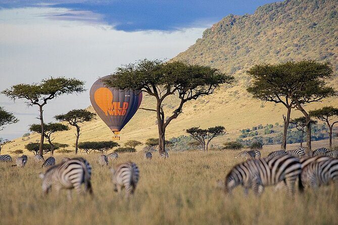 4-Day Masai Mara and Lake Nakuru Safari Tour from Nairobi - Lake Nakuru Day 4: Early-Cat Chances and a Rift Valley Return