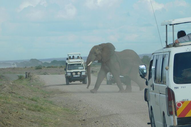 4 Day Private Masai Mara National Reserve & Lake Nakuru National Park Safari - Key Highlights You’ll Feel on the Safari