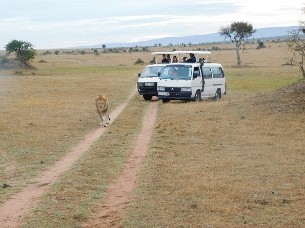 4 Day Private Masai Mara National Reserve & Lake Nakuru National Park Safari - Lake Nakuru National Park: Rhinos, Flamingos, and Rift Valley Views