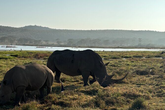 4 Days 4WD Private Maasai Mara, Nakuru Parks with Lodge LUXURY - Maasai Culture at Daybreak: The Village Visit on Day Three