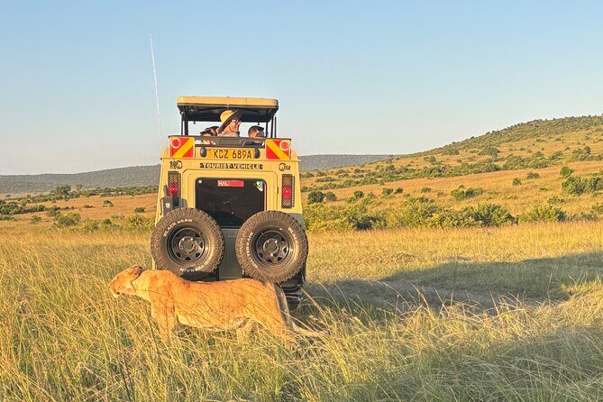 4 Days 4WD Private Maasai Mara, Nakuru Parks with Lodge LUXURY - Final Morning at Lake Nakuru: Your Choice Before You Head Back