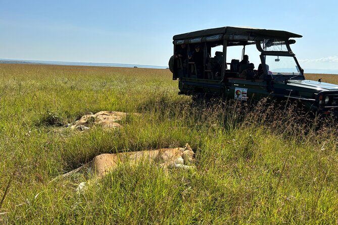 4 Days 4WD Private Maasai Mara, Nakuru Parks with Lodge LUXURY - Meals, Water, and Lodge Wi‑Fi: The Comfort Stuff That Keeps You Happy