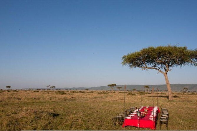 4 Days Enthralling Safaris in Kenya-lake Nakuru Masai Mara - Lake Nakuru to Maasai Mara: the route that hits Kenya’s best odds
