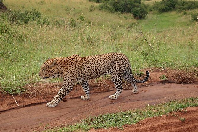 4 days group joining budget safari to Maasai Mara only - Your lodge basics on day one: mosquito nets and limited electricity