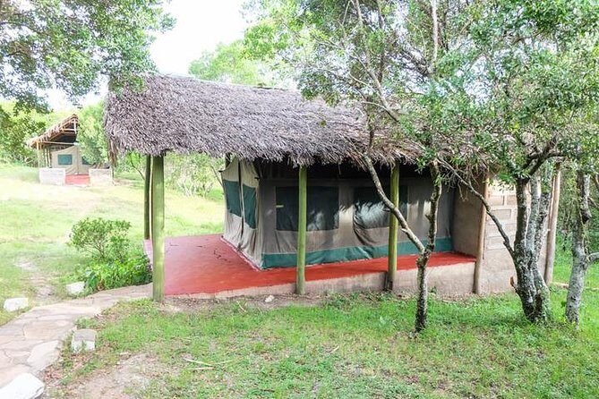 4 days group joining budget safari to Maasai Mara only - Guide quality in a group of up to 20: Albert Koi and George Mumba stand out