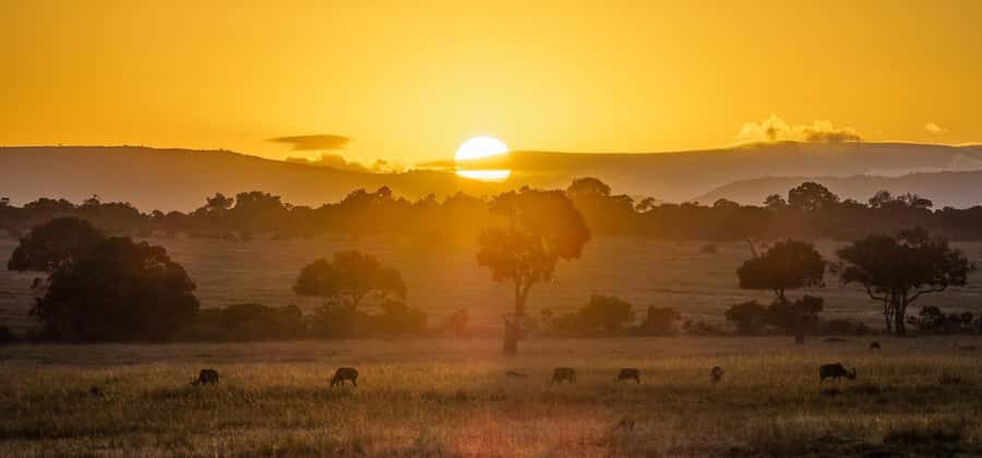 4 Days group safari in a safari van With no park fees - The value of pairing Maasai Mara with Lake Nakuru