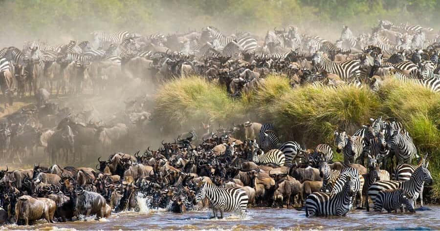 4 days Group safari in Masaai Mara and Lake Nakuru Park - Day 1: Nairobi to Maasai Mara with Rift Valley Views and a Sunset Drive
