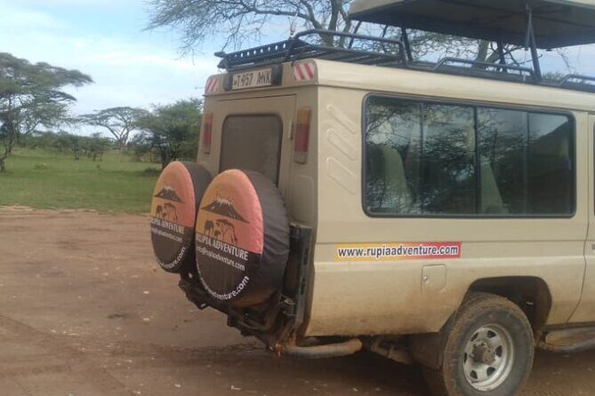 4 Days Kenya Safari - Who This Safari Fits Best (and Who Should Rethink)