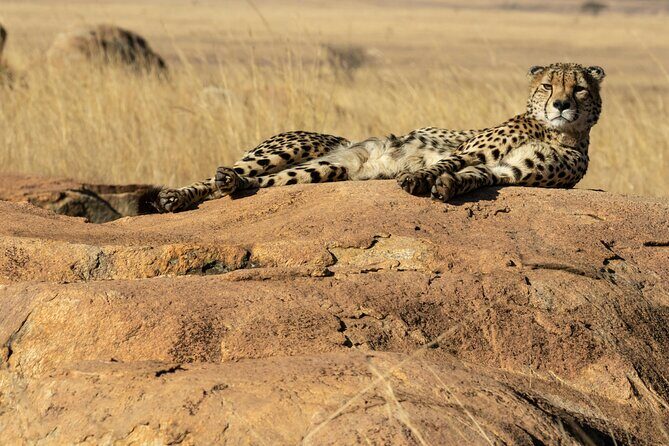 4 Days Lake Nakuru and Masai Mara Luxury Safari - Key Points Before You Go